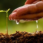 PSR Puglia: Misura 4 – Investimenti in Immobilizzazioni materiali