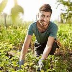 Aiuti all’avviamento di imprese per i giovani agricoltori