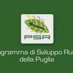 BANDO PER L’AGRICOLTURA BIOLOGICA (Misura 11 PSR PUGLIA 2016)